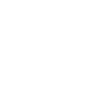 SNightFest