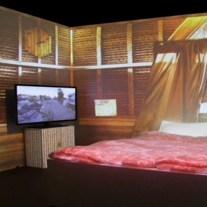 Projection Mapping sg