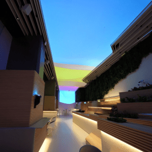 Projection Mapping